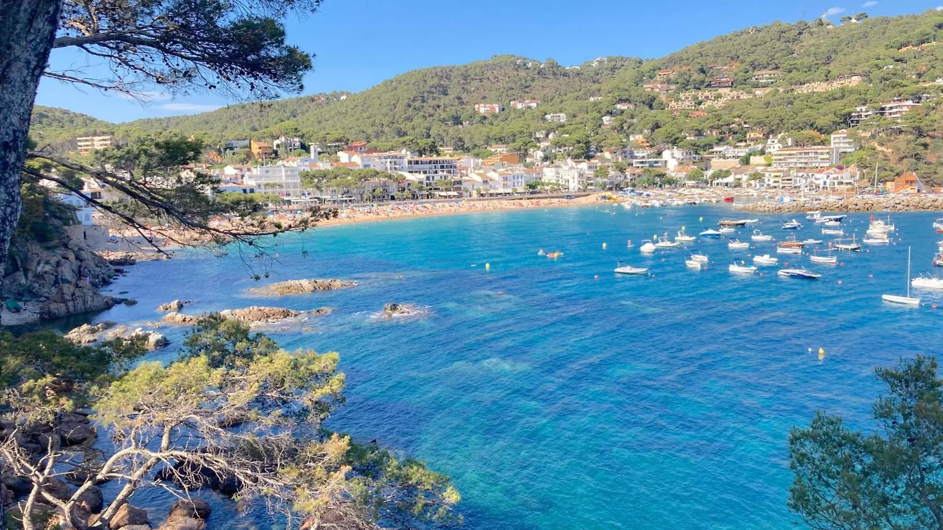 1Pin01 Calella De Palafrugell Apartment